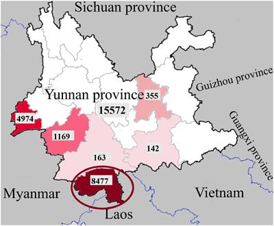 Clinical Characteristics and Risk Factors for Severe Dengue Fever in Xishuangbanna, During the Dengue Outbreak in 2019